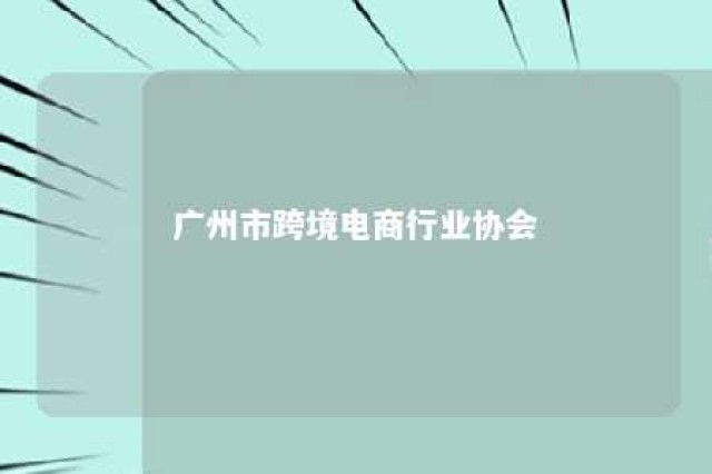 广州市跨境电商行业协会 广州市跨境电商行业协会会长