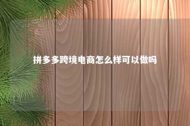 拼多多跨境电商怎么样可以做吗 拼多多 跨境电商